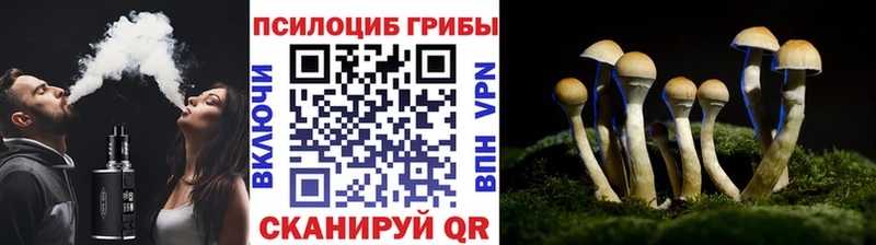 Псилоцибиновые грибы Magic Shrooms  купить наркотики цена  MEGA рабочий сайт  Минусинск 