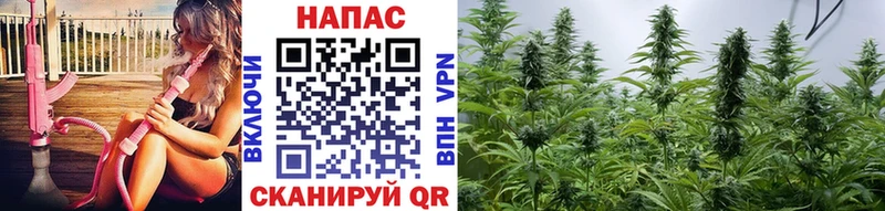 Каннабис тримм  хочу наркоту  Минусинск 